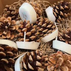 Kindle Cone Fire Lighters