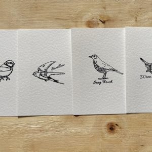 Assorted Bird Note Cards